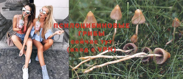 мдма Новозыбков
