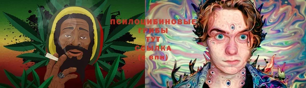 гашик Болотное