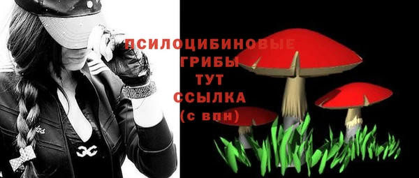 MESCALINE Новодвинск