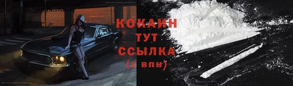 гашик Новокубанск