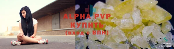 гашик Новокубанск