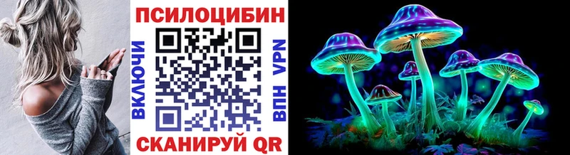 где купить наркотик  Грайворон  Псилоцибиновые грибы GOLDEN TEACHER 
